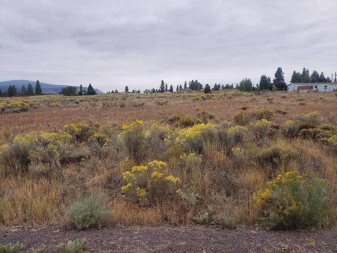 0.45 Acres of Residential Land for Sale in Chiloquin, Oregon