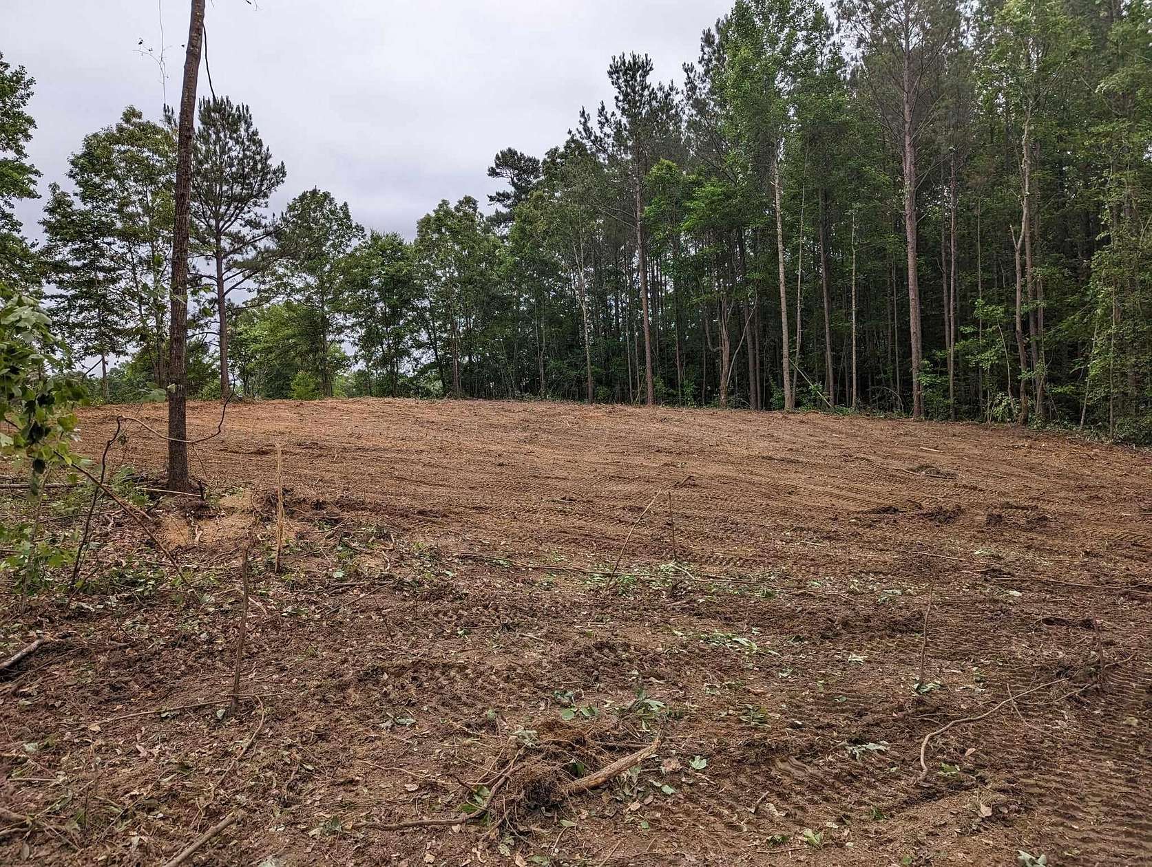 2.64 Acres of Residential Land for Sale in Jasper, Alabama