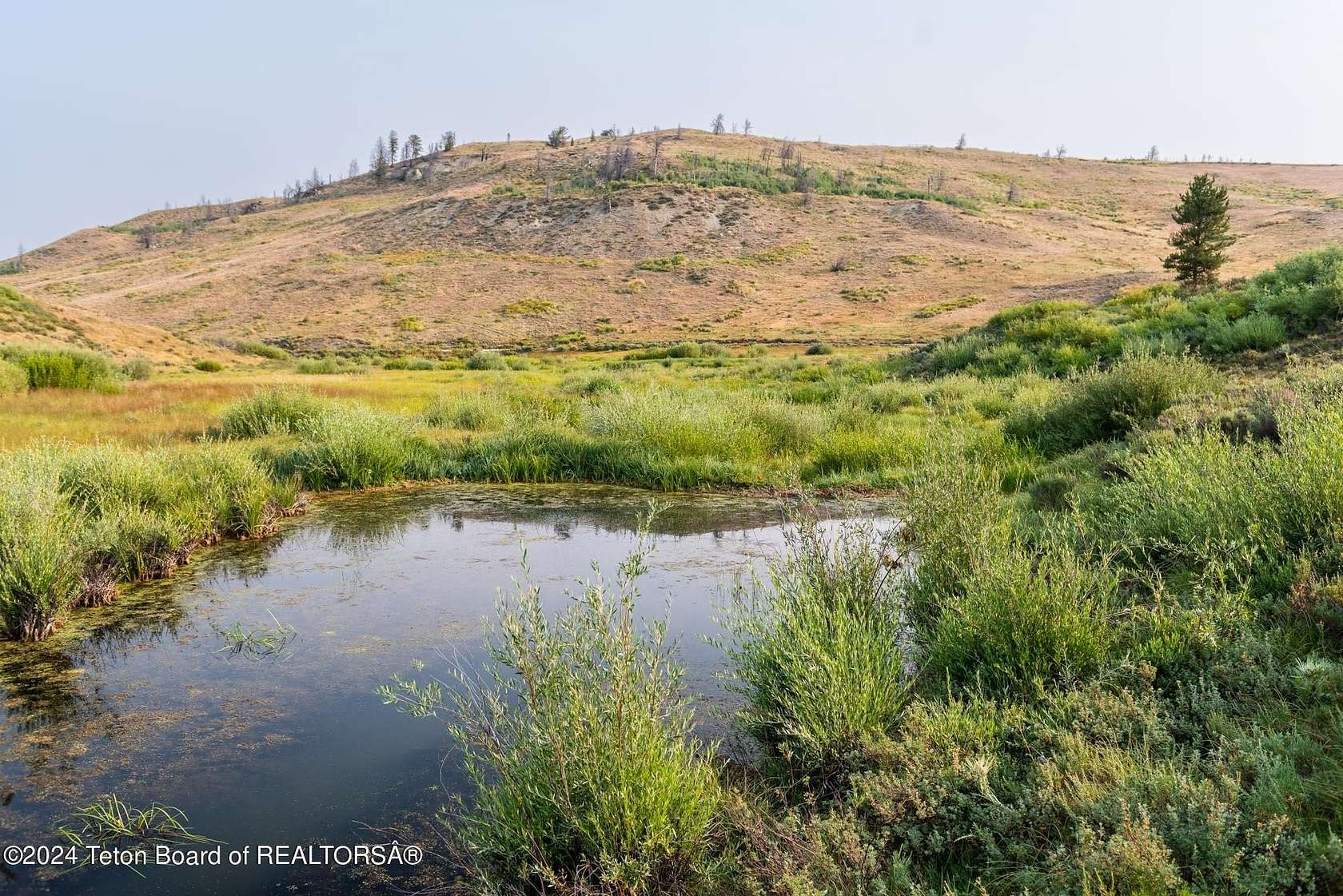 49.38 Acres of Recreational Land for Sale in Bondurant, Wyoming