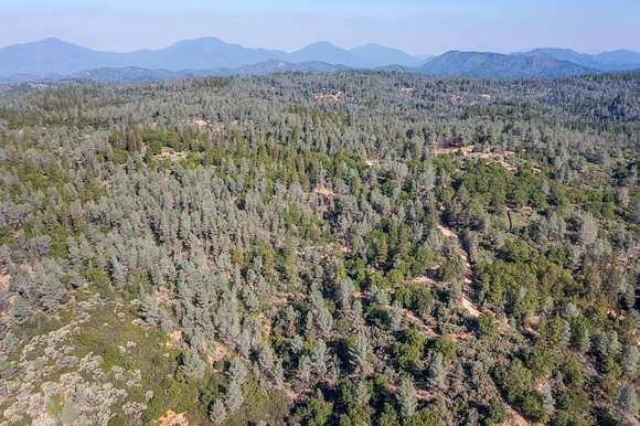 20.1 Acres of Land for Sale in Bella Vista, California