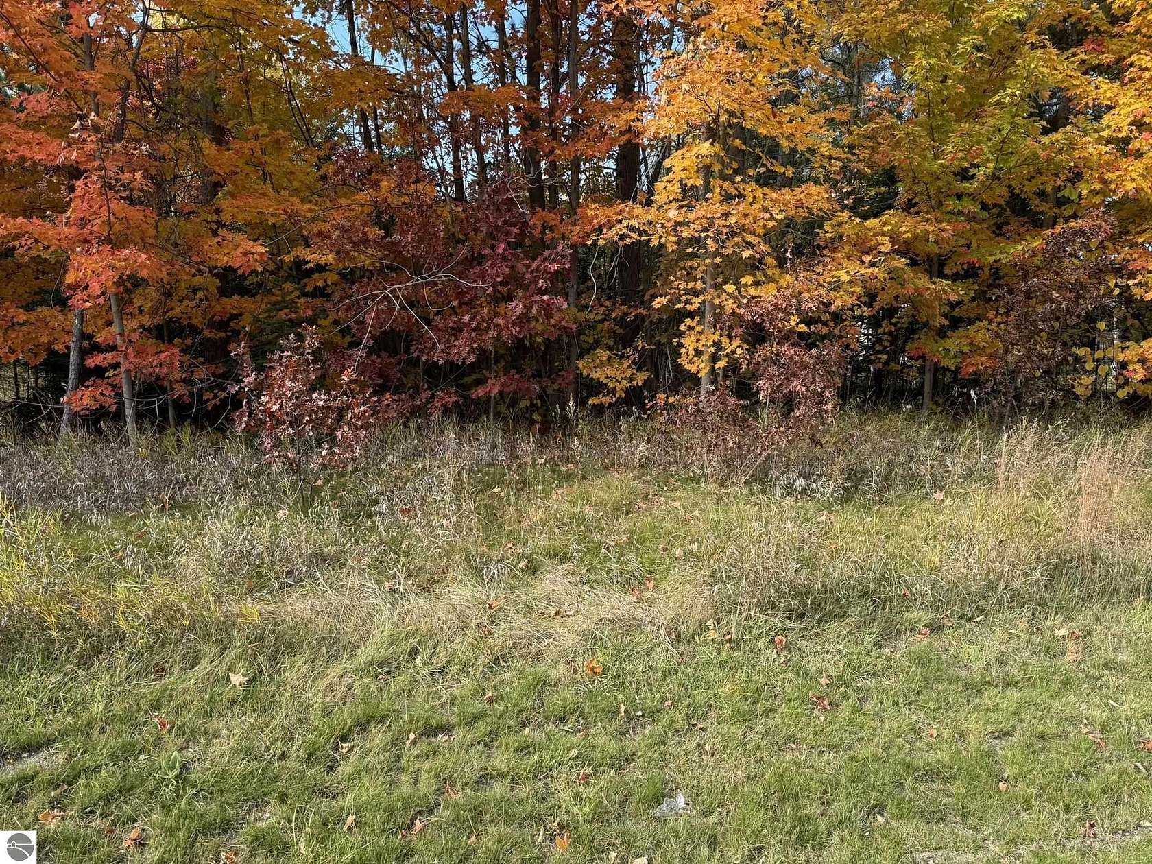 19.5 Acres of Recreational Land for Sale in Fife Lake, Michigan