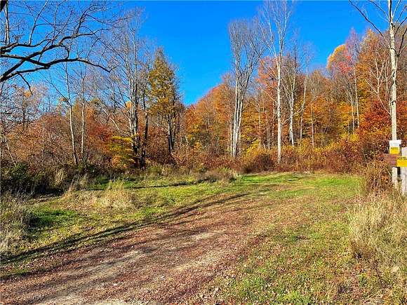 5 Acres of Improved Residential Land for Sale in Otselic, New York