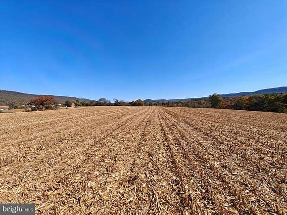 51.3 Acres of Agricultural Land for Auction in Hegins, Pennsylvania