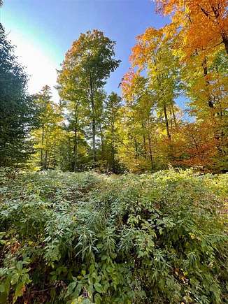 1.62 Acres of Residential Land for Sale in Boyne City, Michigan