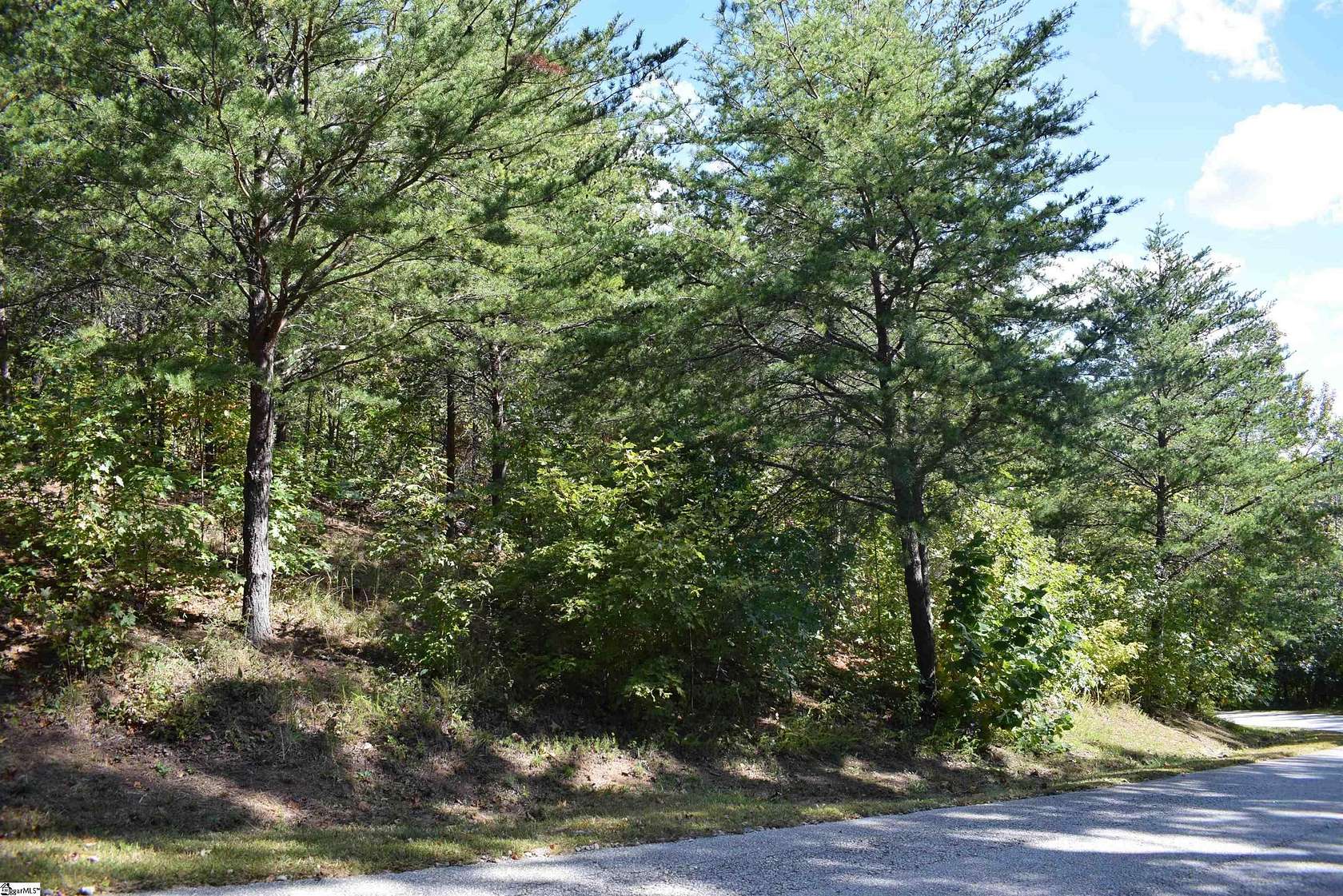 4.84 Acres of Land for Sale in Columbus, North Carolina