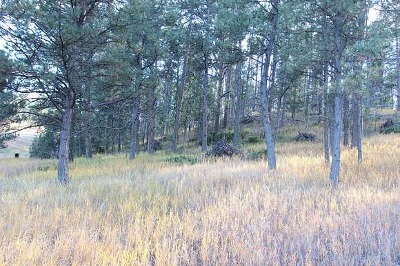 4 Acres of Residential Land for Sale in Custer, South Dakota