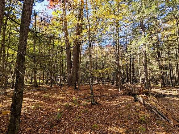 5.23 Acres of Residential Land for Sale in Bethel, New York