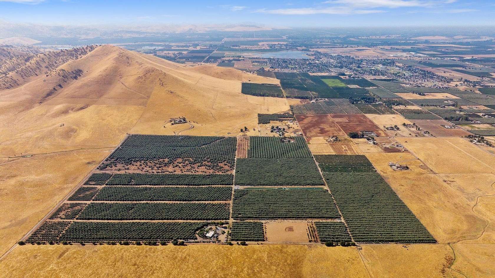 127.32 Acres of Agricultural Land for Sale in Woodlake, California