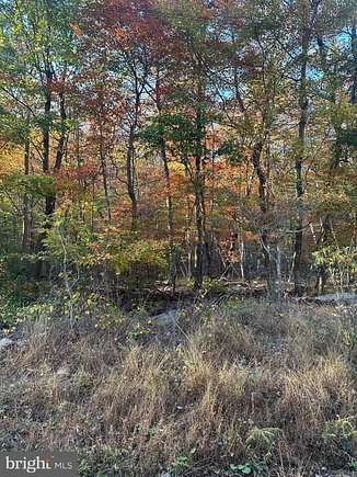 Land for Sale in Winchester, Virginia