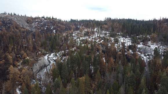 23.5 Acres of Recreational Land for Sale in Shaver Lake, California