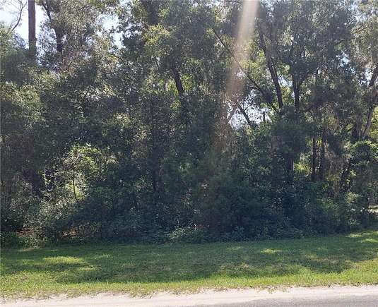 0.25 Acres of Residential Land for Sale in Dunnellon, Florida