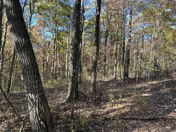 53.48 Acres of Recreational Land for Sale in Albright, West Virginia