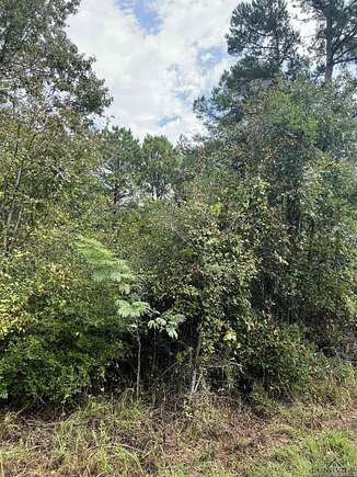 50 Acres of Land for Sale in Jefferson, Texas