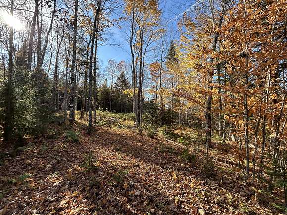 1.14 Acres of Residential Land for Sale in Dallas Plantation, Maine