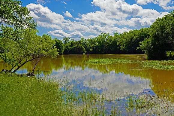 299.93 Acres of Agricultural Land for Sale in Perrin, Texas