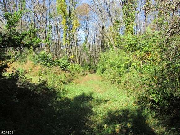 11.34 Acres of Land for Sale in Wantage Township, New Jersey