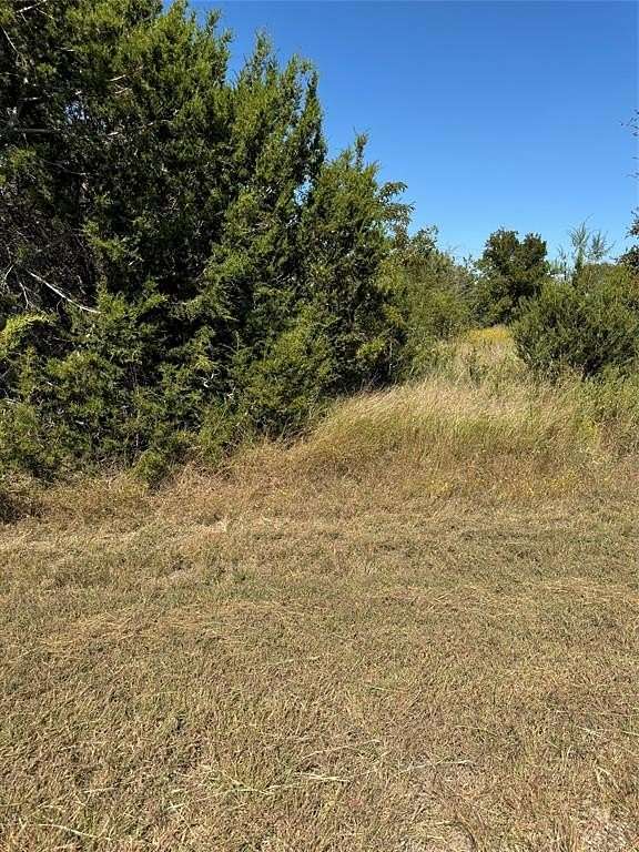 1.335 Acres of Land for Sale in Whitney, Texas