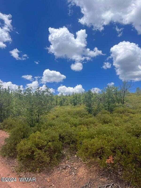 30 Acres of Recreational Land for Sale in Show Low, Arizona