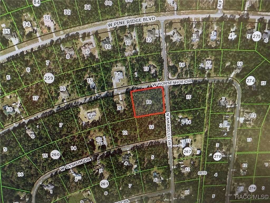 1.69 Acres of Land for Sale in Beverly Hills, Florida