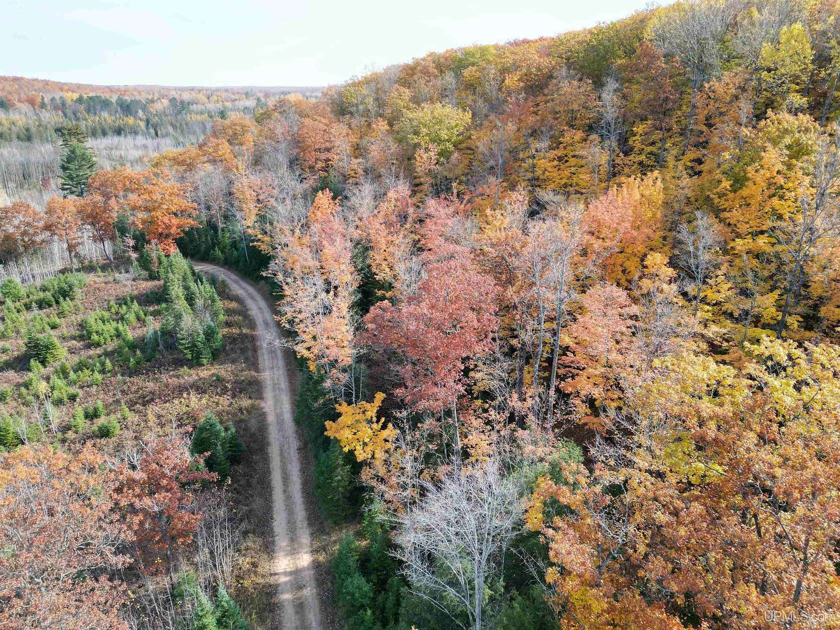 40 Acres of Recreational Land for Sale in Vulcan, Michigan