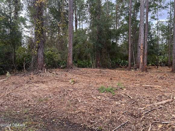 0.36 Acres of Residential Land for Sale in Georgetown, Florida