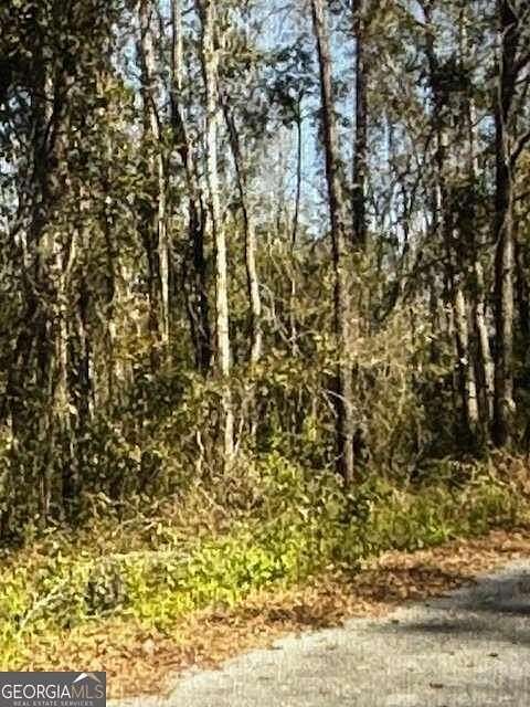 1.3 Acres of Residential Land for Sale in Kingsland, Georgia