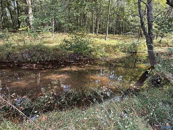 14 Acres of Recreational Land for Sale in Toney, Alabama