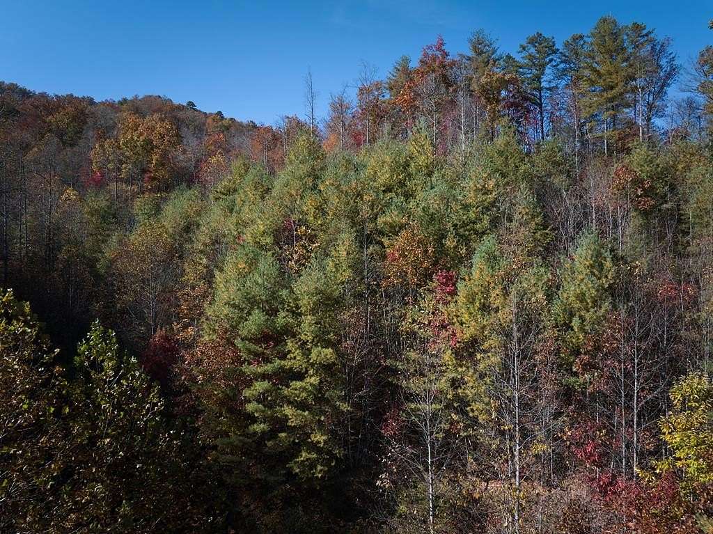 12.8 Acres of Recreational Land for Sale in Bryson City, North Carolina