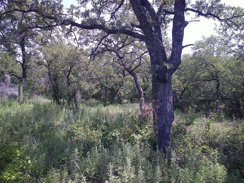 33 Acres of Land for Sale in Perrin, Texas