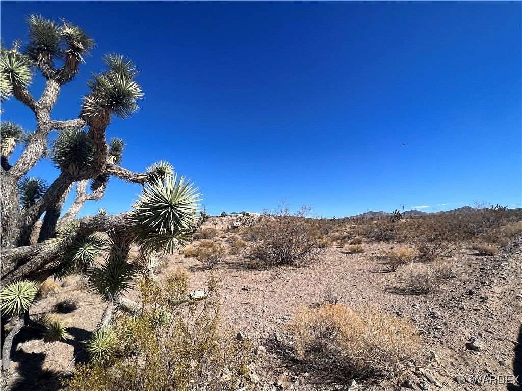 1 Acre of Residential Land for Sale in White Hills, Arizona