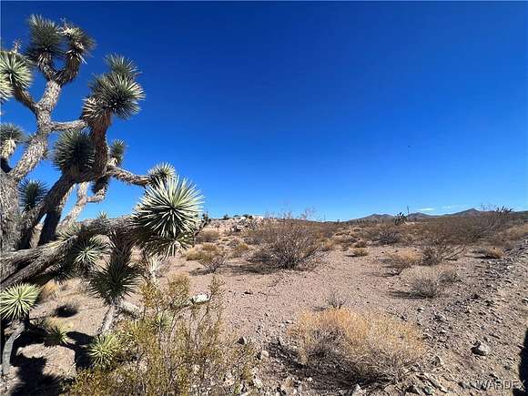 1 Acre of Residential Land for Sale in White Hills, Arizona