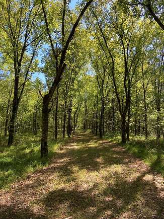 84.5 Acres of Land for Sale in Oxford, Mississippi