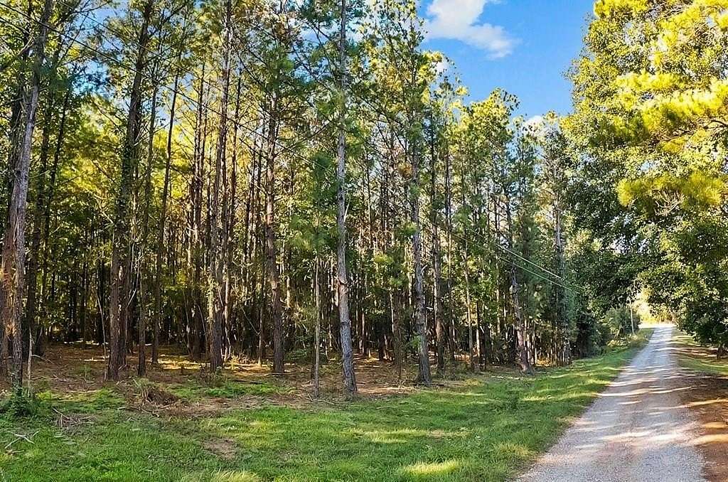 8.36 Acres of Residential Land for Sale in Carriere, Mississippi