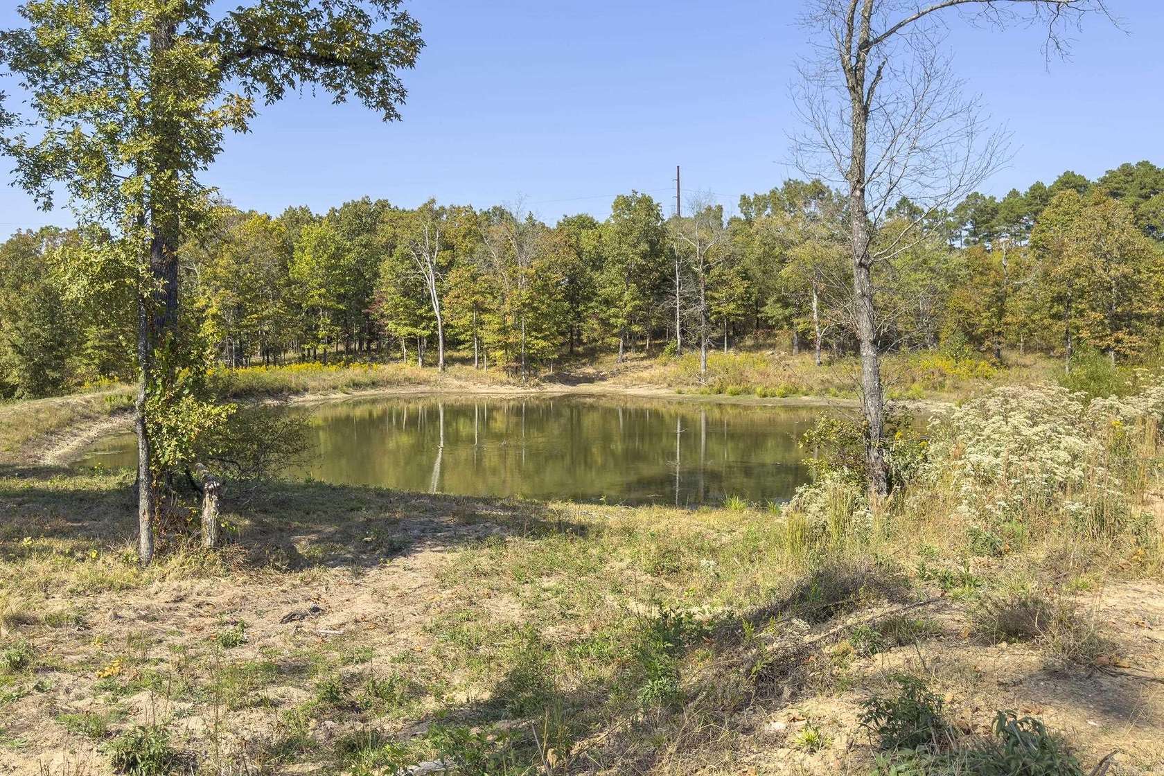 26.6 Acres of Recreational Land for Sale in Mena, Arkansas