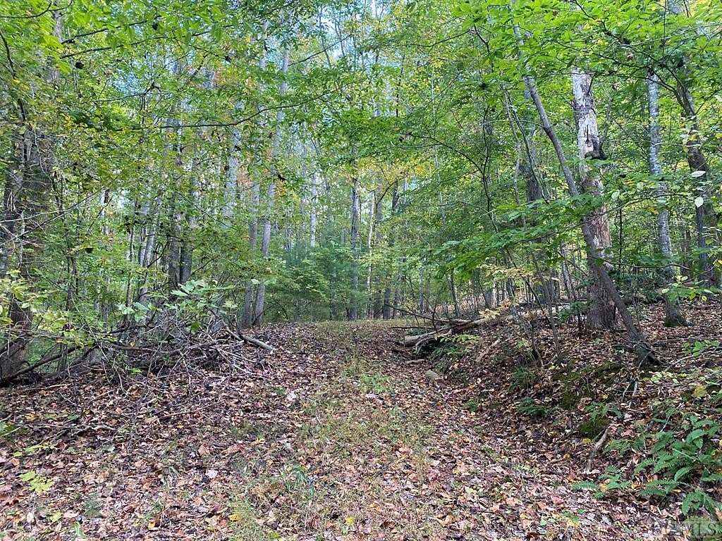 60 Acres of Recreational Land for Sale in Franklin, North Carolina