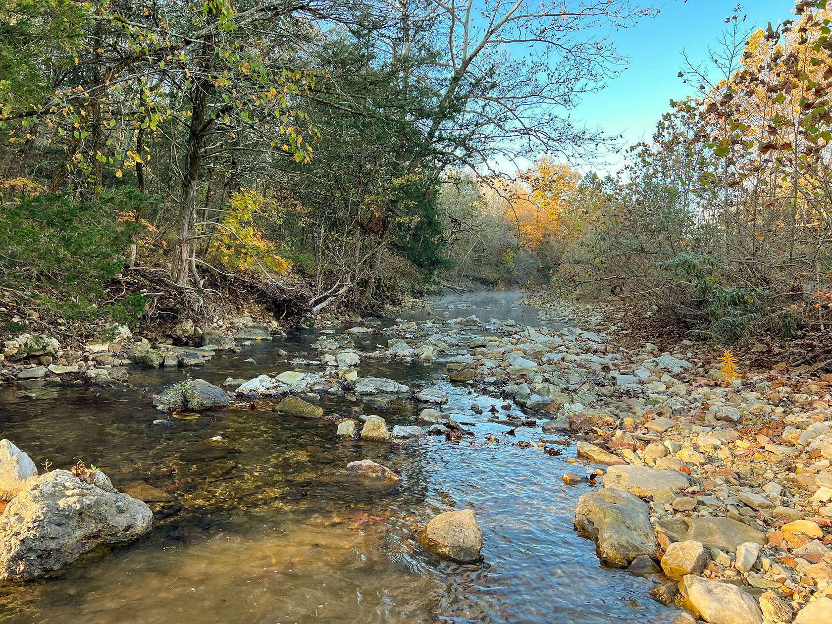 155.53 Acres of Recreational Land & Farm for Sale in Gainesville, Missouri