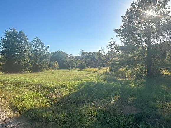 19.4 Acres of Recreational Land & Farm for Sale in Macon, Mississippi