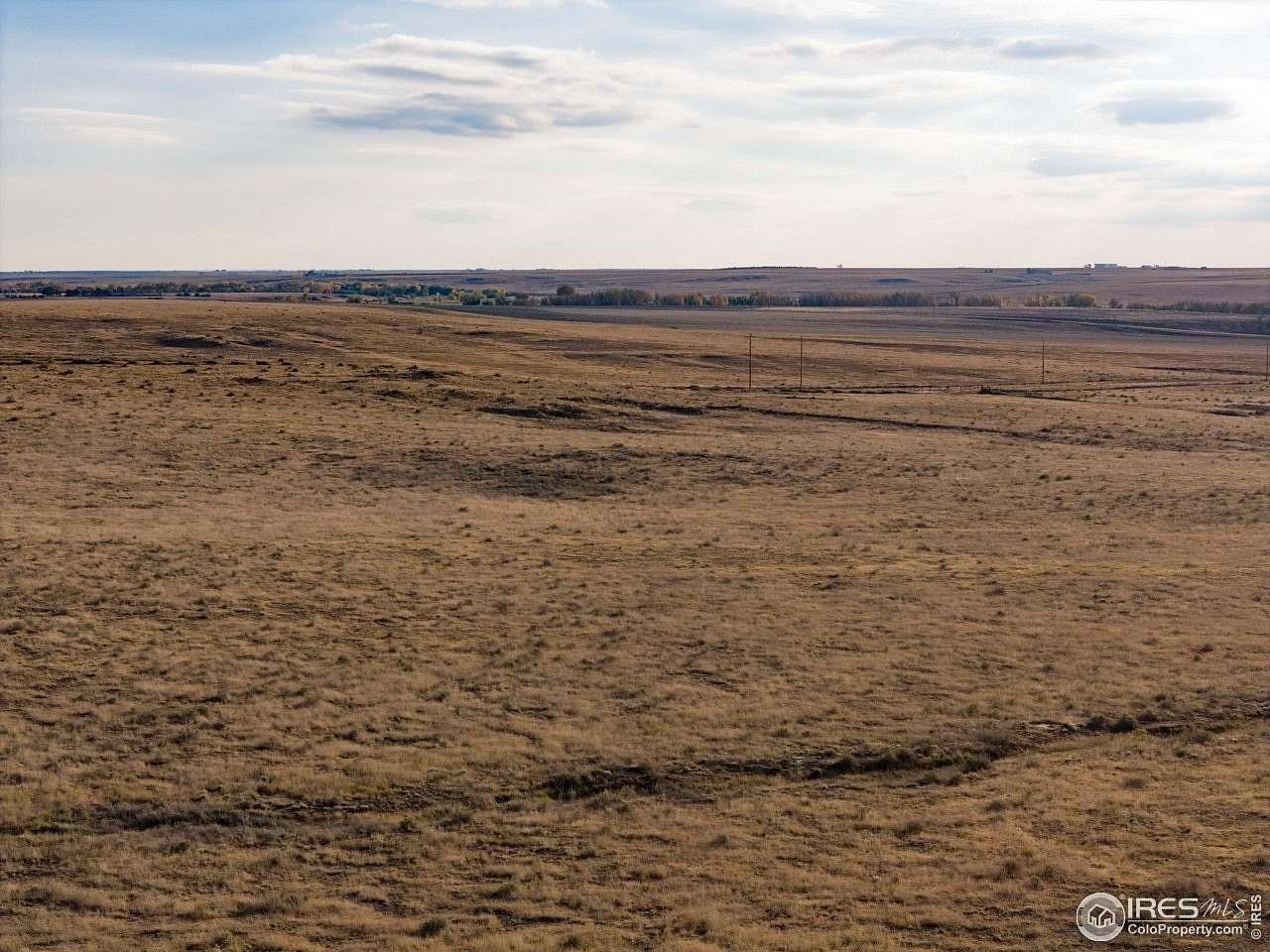 40 Acres of Land for Sale in Briggsdale, Colorado