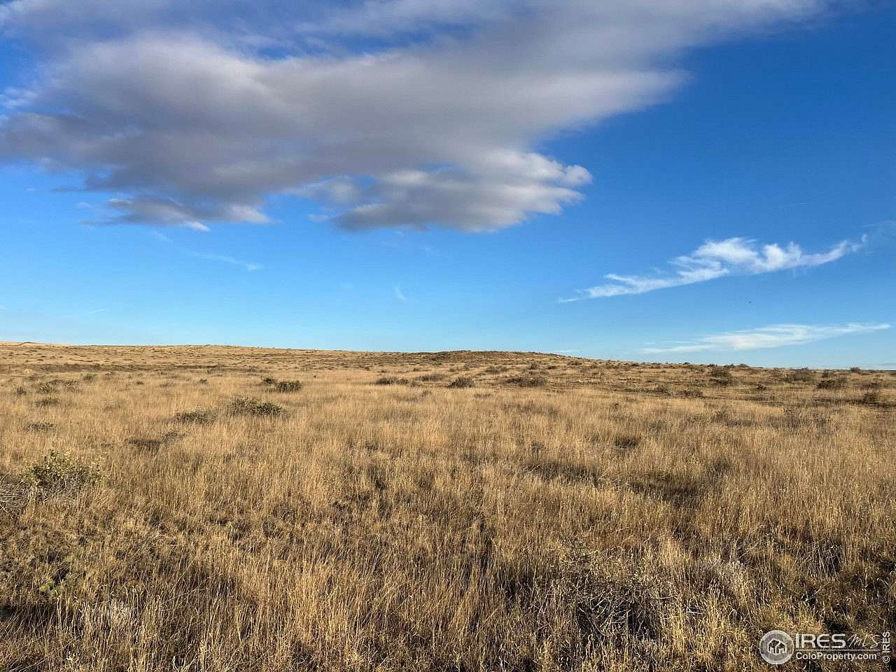 40 Acres of Land for Sale in Briggsdale, Colorado