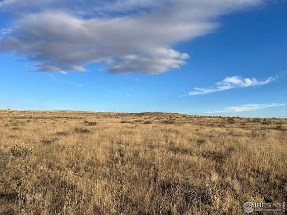 40 Acres of Land for Sale in Briggsdale, Colorado