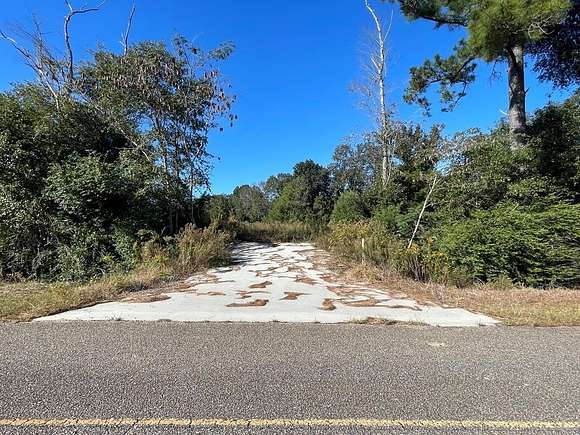 4.27 Acres of Residential Land for Sale in Ashford, Alabama