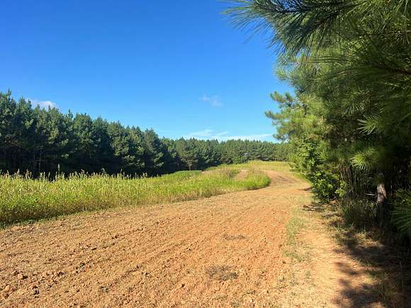 297.3 Acres of Recreational Land for Sale in Eatonton, Georgia