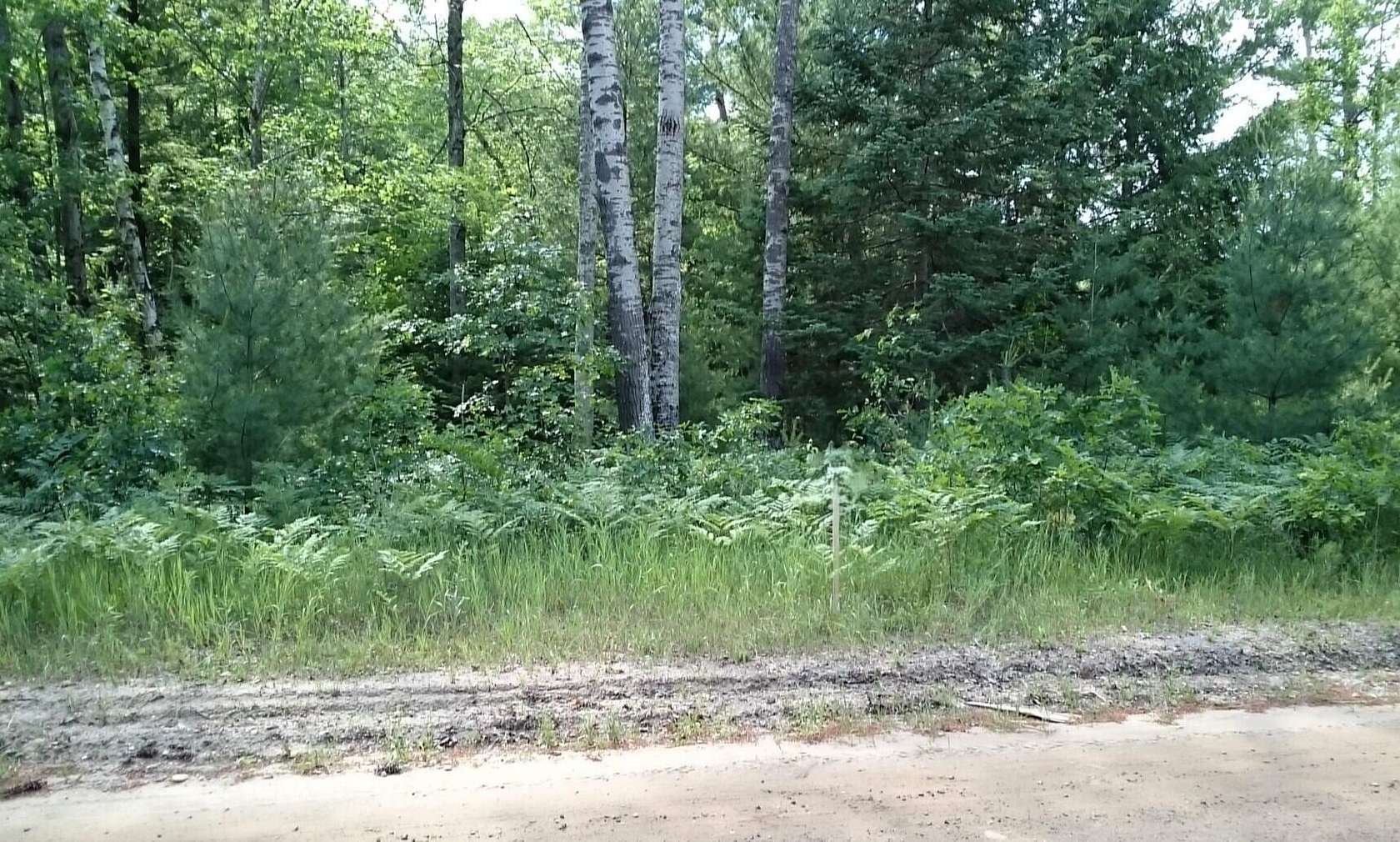 10 Acres of Recreational Land for Sale in Alger, Michigan