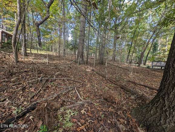 0.24 Acres of Residential Land for Sale in Crossville, Tennessee