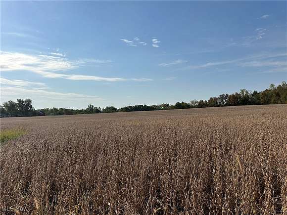 39.02 Acres of Recreational Land & Farm for Auction in Hicksville, Ohio