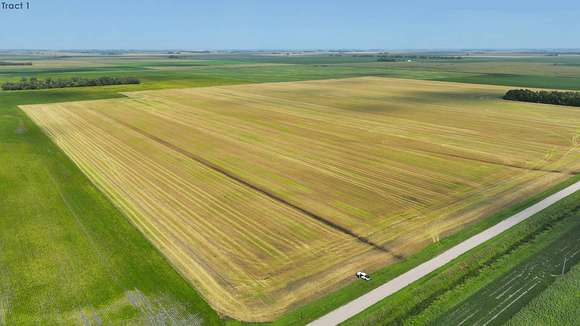 913 Acres of Agricultural Land for Auction in Shelly Township, Minnesota