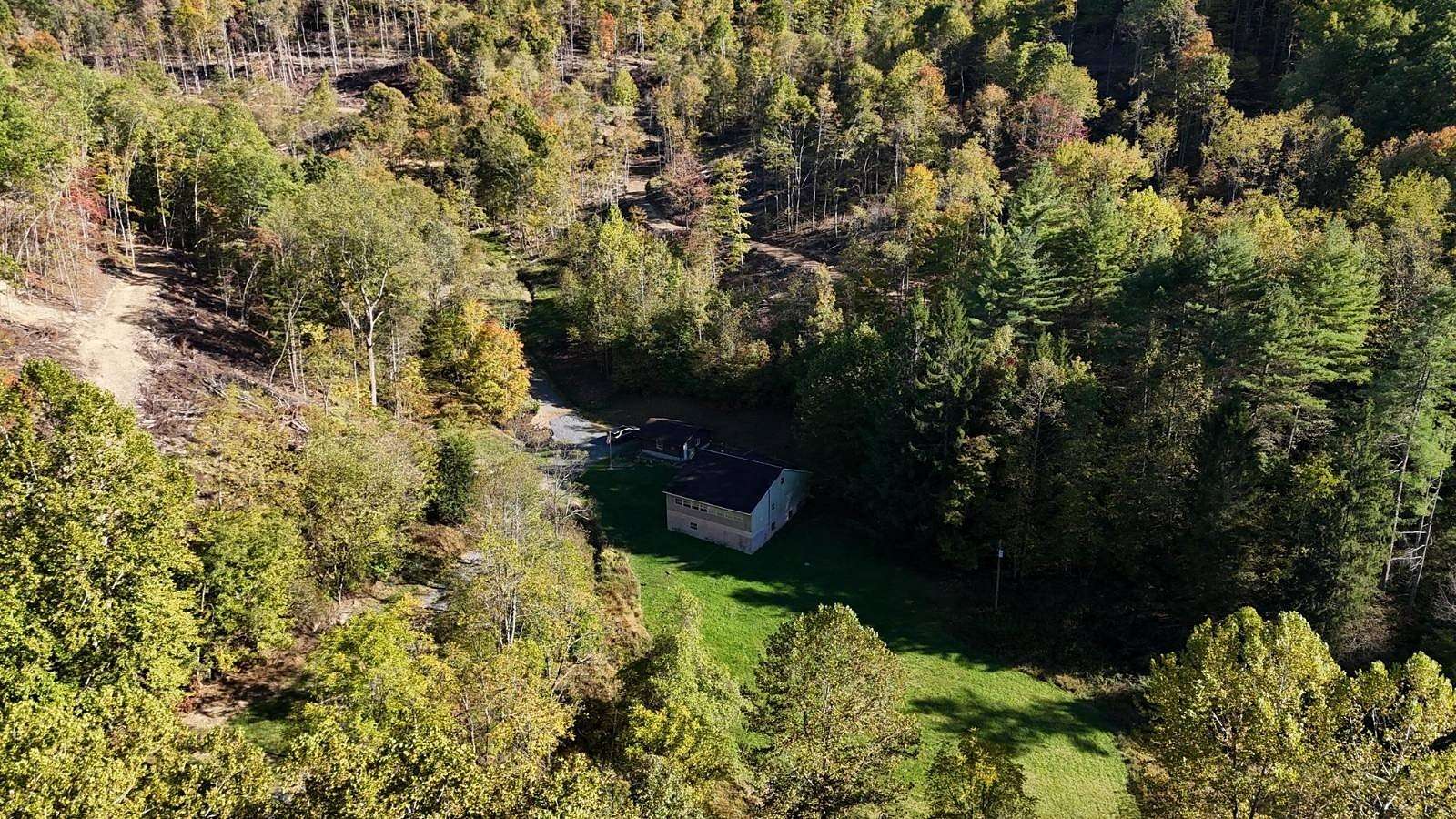 41.61 Acres of Land with Home for Auction in Sutton, West Virginia