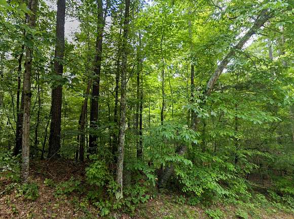 1.21 Acres of Residential Land for Sale in Glencoe, Alabama