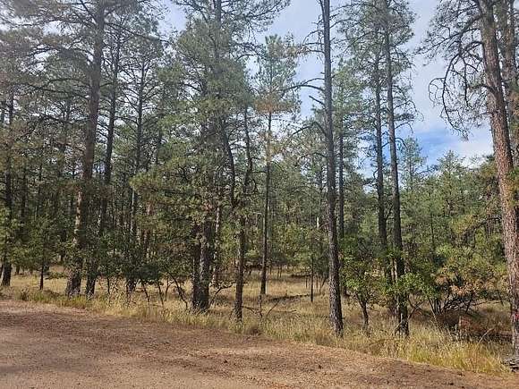 0.643 Acres of Residential Land for Sale in Timberon, New Mexico