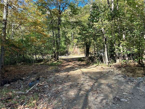 65 Acres of Recreational Land for Sale in Bomont, West Virginia